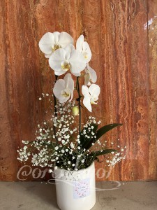 گل ارکیده سفید دیزاین عروس